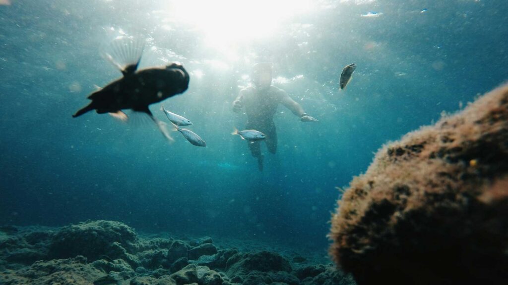 Snorkling Nusa Penida Tour