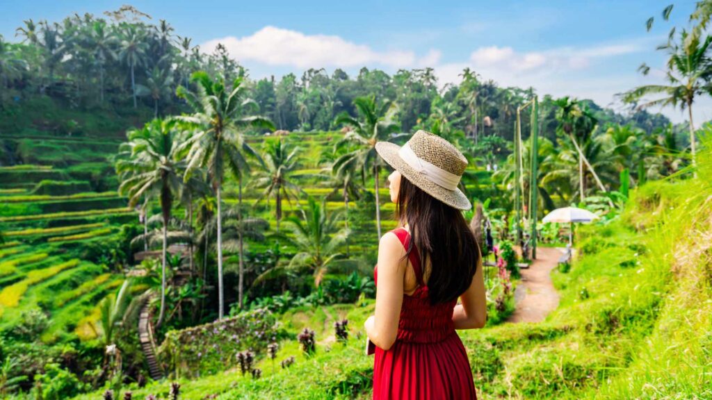 Tegalalang Rice Terrace Tour