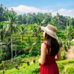 Tegalalang Rice Terrace Tour