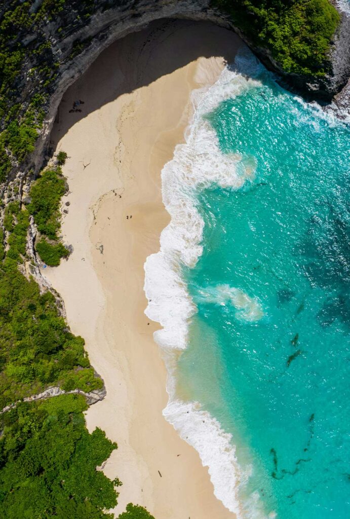 white beach klingking t - rex