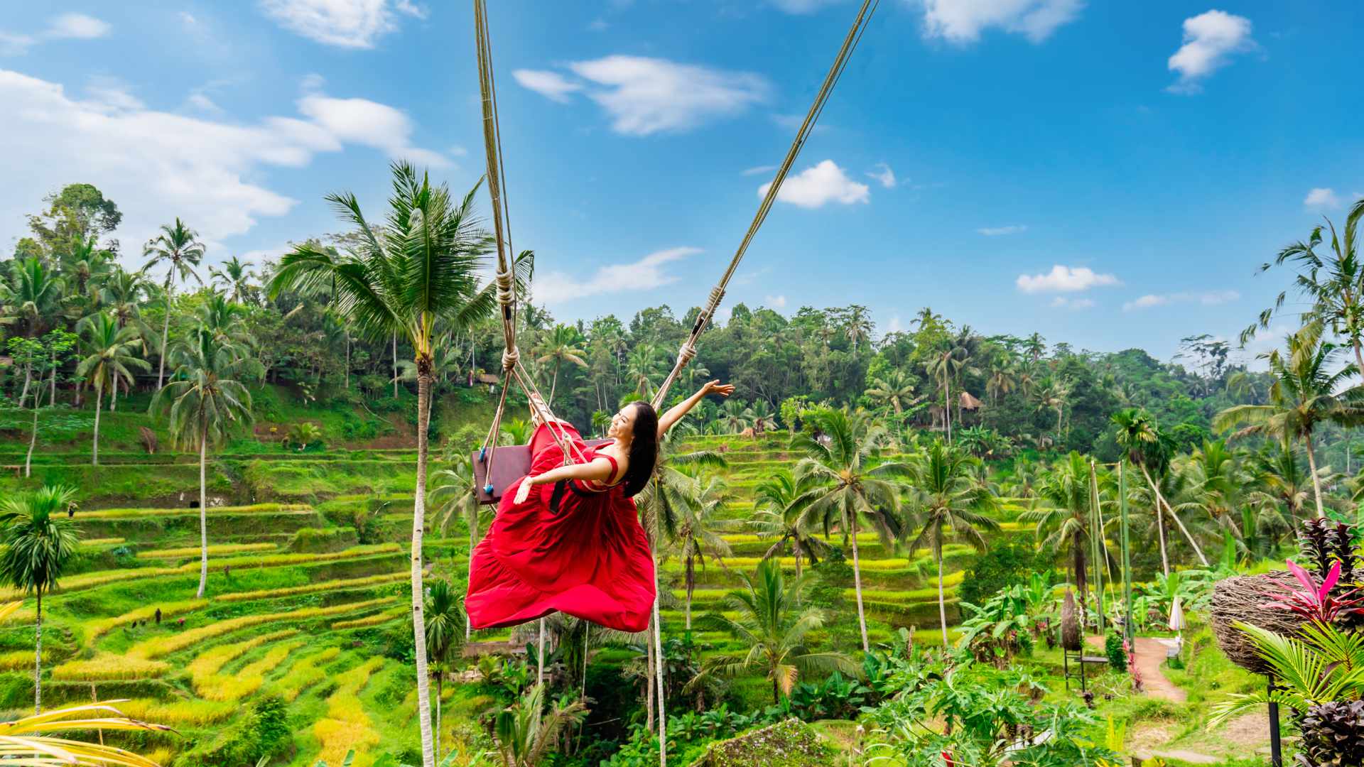 Bali Swing Private Tour