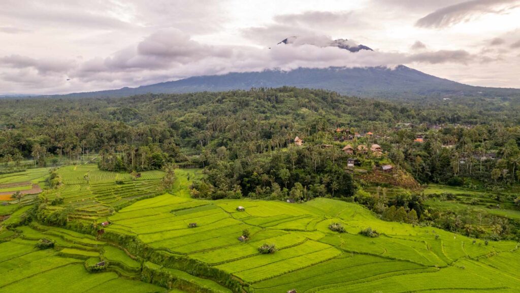 one day Sidemen tour with private driver