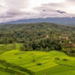 one day Sidemen tour with private driver