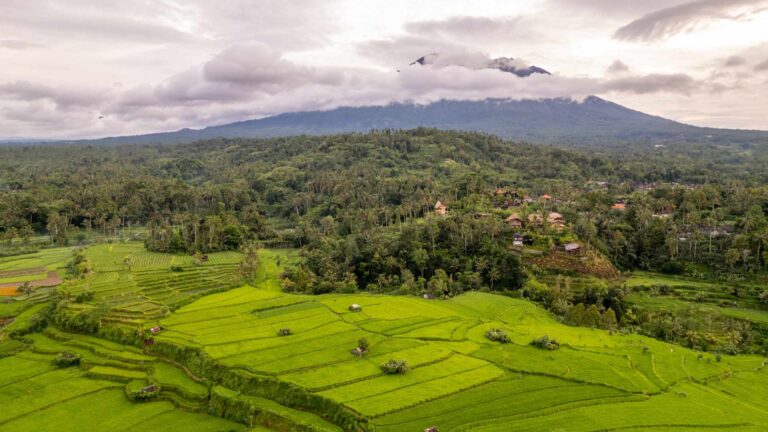 one day Sidemen tour with private driver