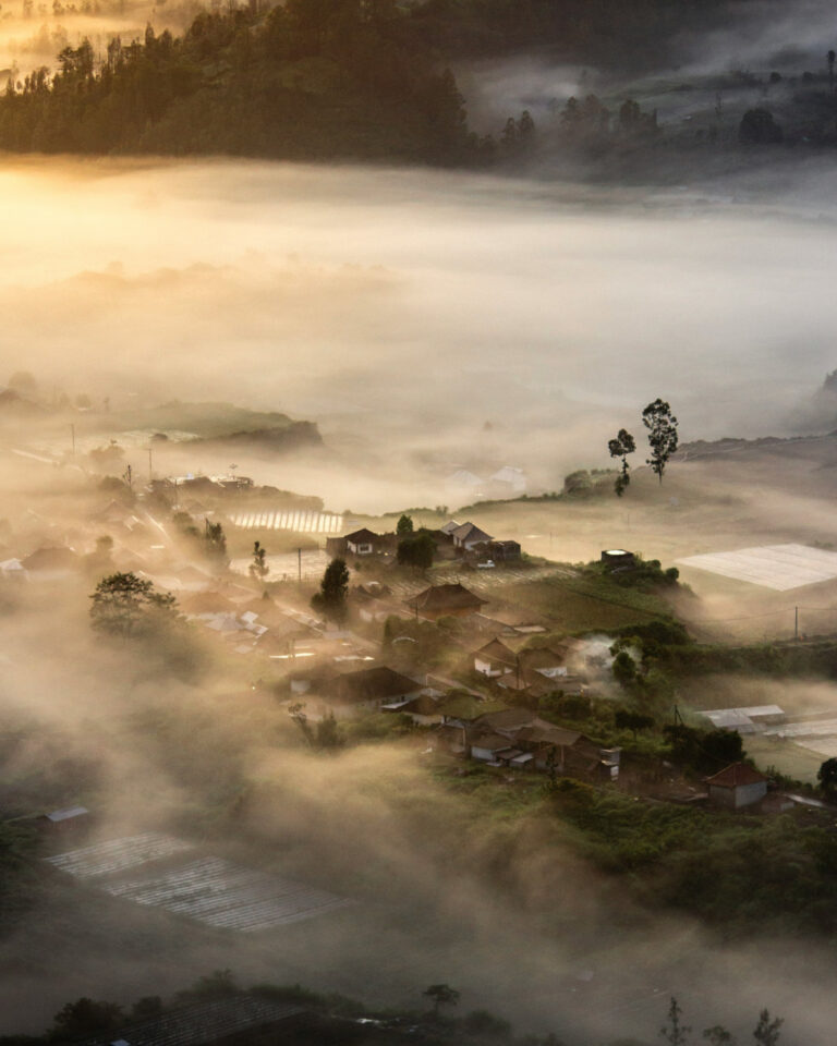 Bali Highlands Private Tour