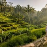 Bali One Day Itinerary