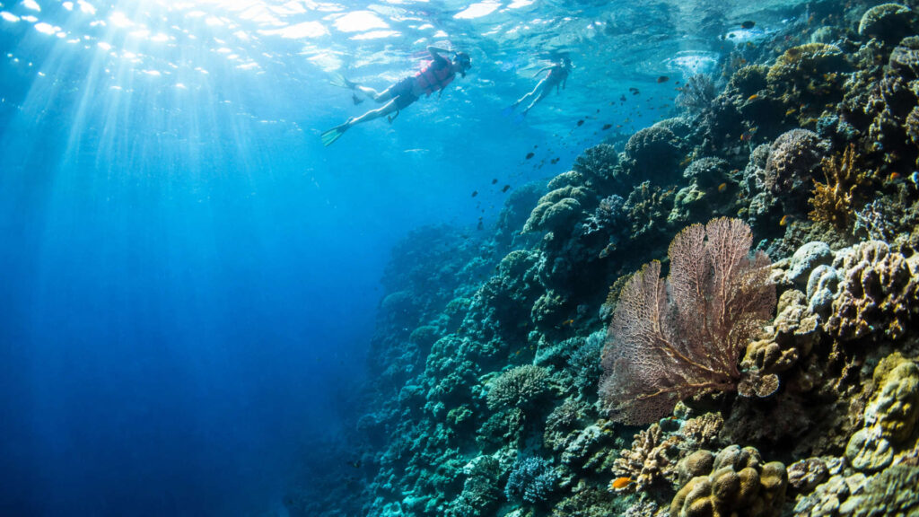 view snorkling nusa penida