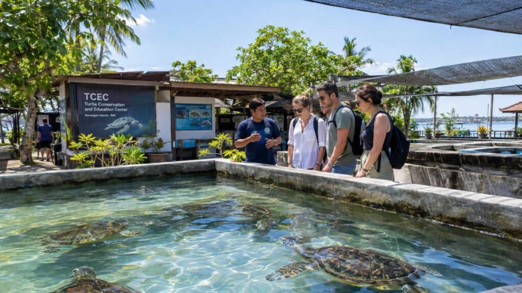 Bali Turtle Island Tour