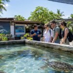 Bali Turtle Island Tour