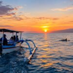 Lovina Dolphin Tour